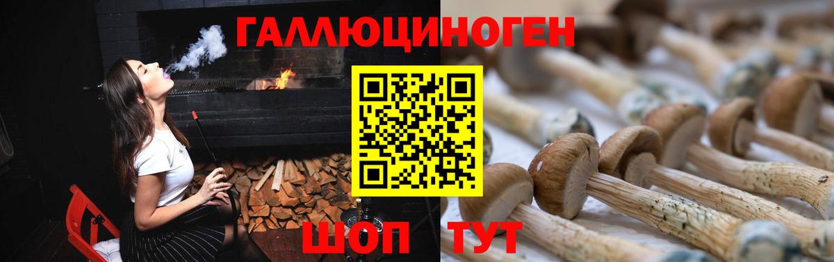 Псилоцибиновые грибы Psilocybe  Галлюциногенные грибы GOLDEN TEACHER  наркотики  Сибай  Вход с VPN 